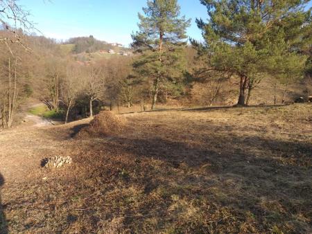 Delovna akcija Soncki 22